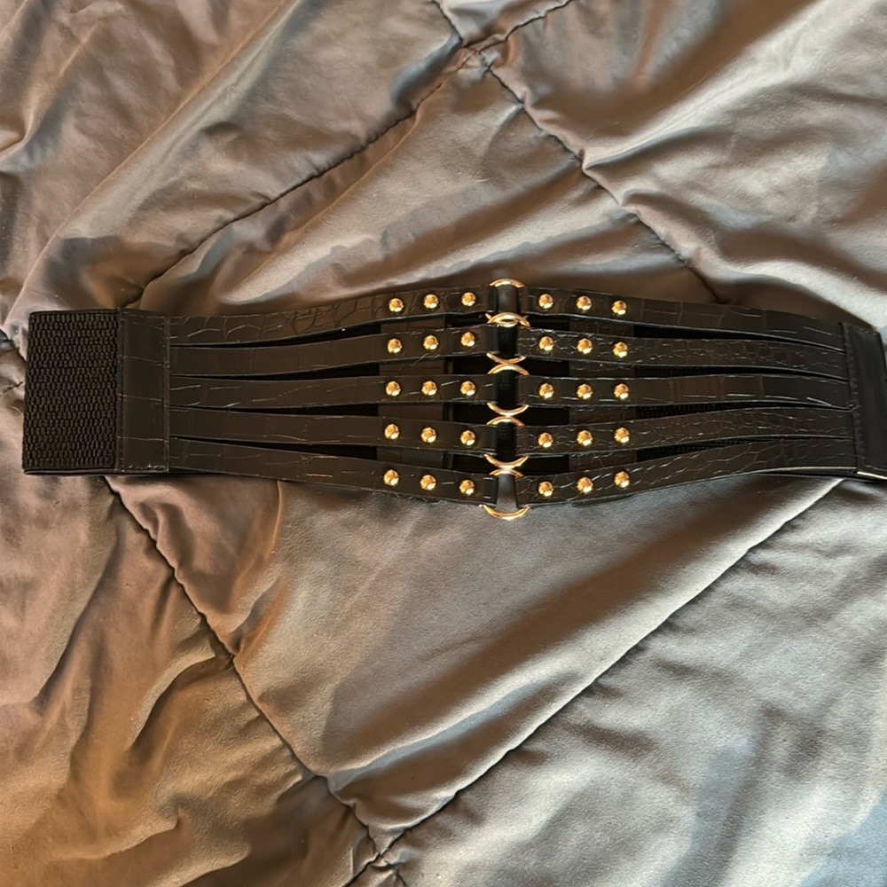 NWOT waist belt